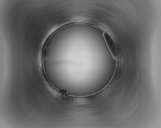 X0000113321128200909281202