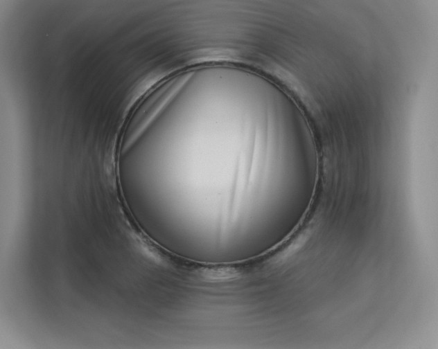 X0000113321129200909281202