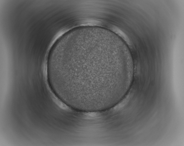 X0000113321130200909281202