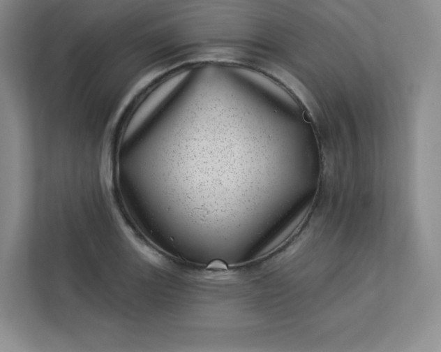 X0000113321131200909281202