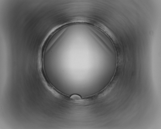 X0000113321132200909281202