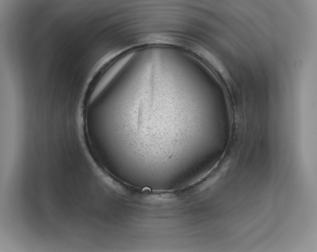 X0000113321133200909281202