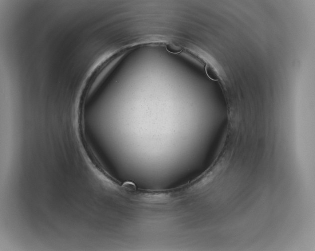 X0000113321135200909281202