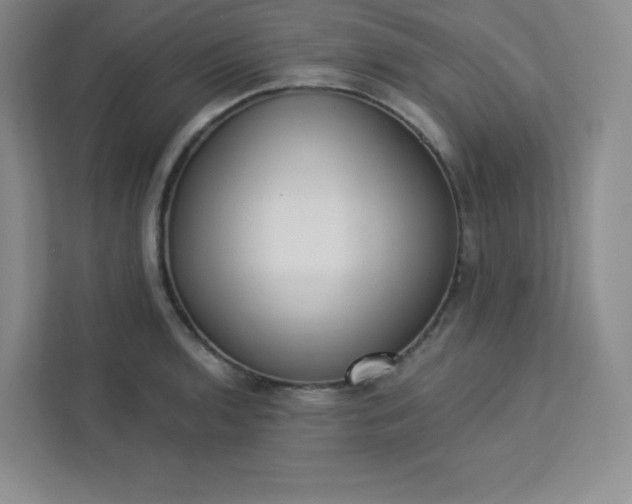 X0000113321136200909281202