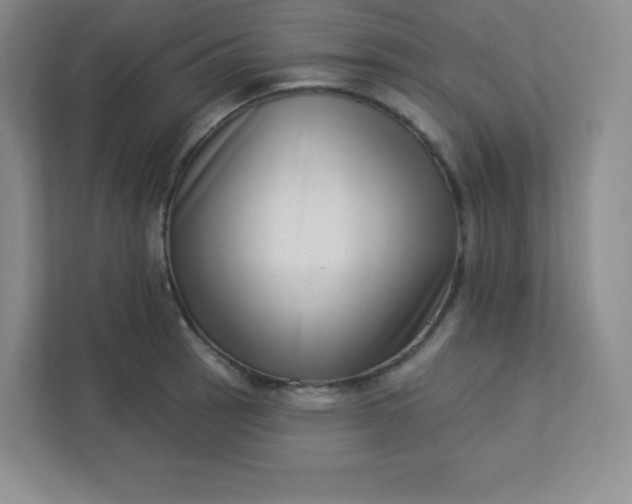 X0000113321137200909281202