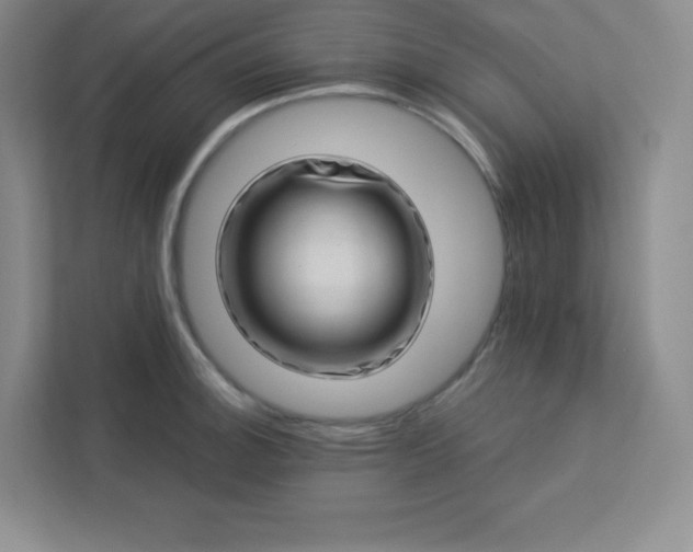 X0000113321140200909281202