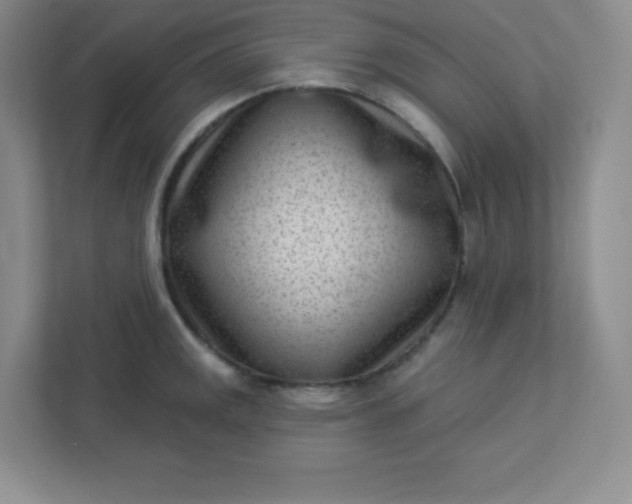 X0000113321141200909281202