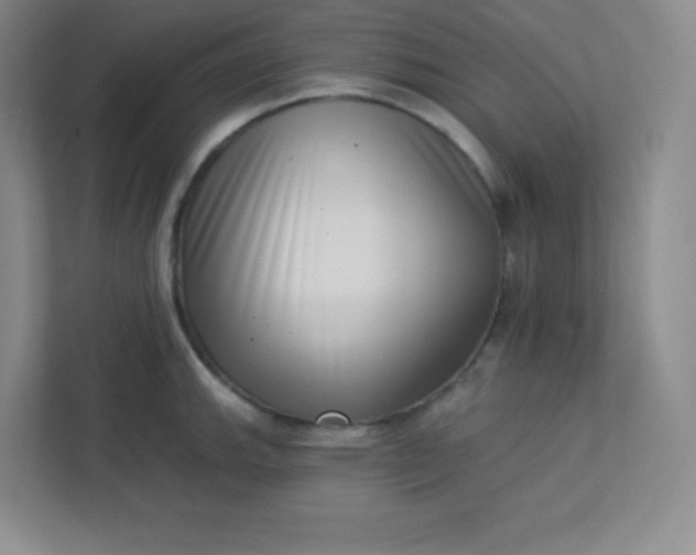 X0000113321143200909281202