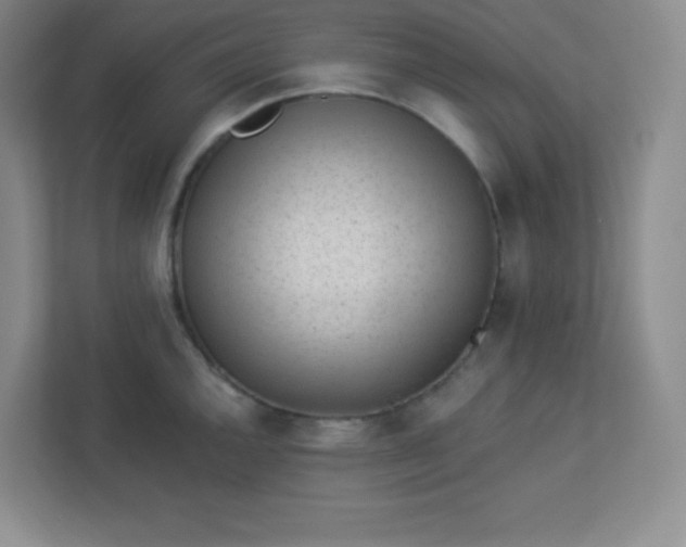 X0000113321144200909281202