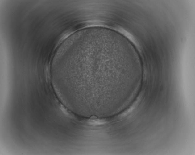 X0000113321145200909281202