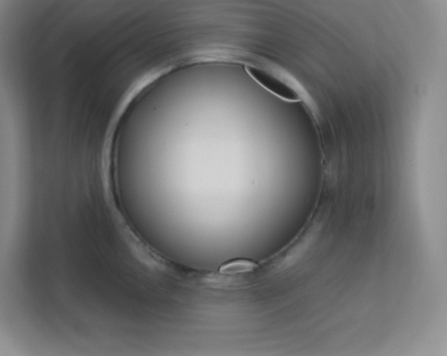 X0000113321146200909281202