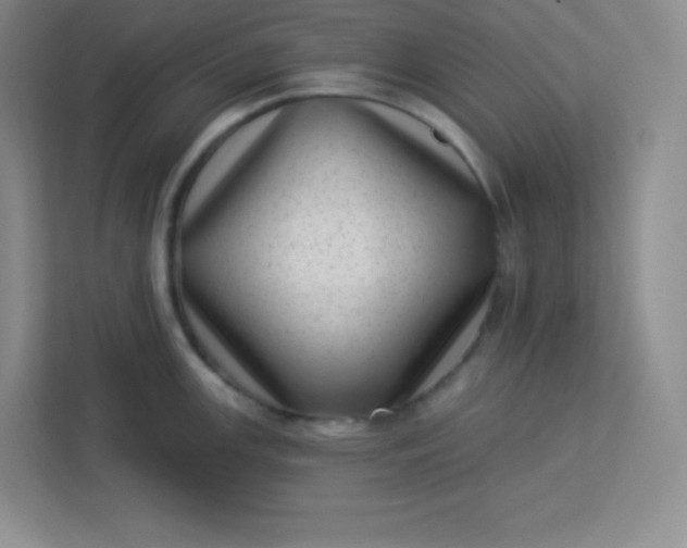 X0000113321147200909281202