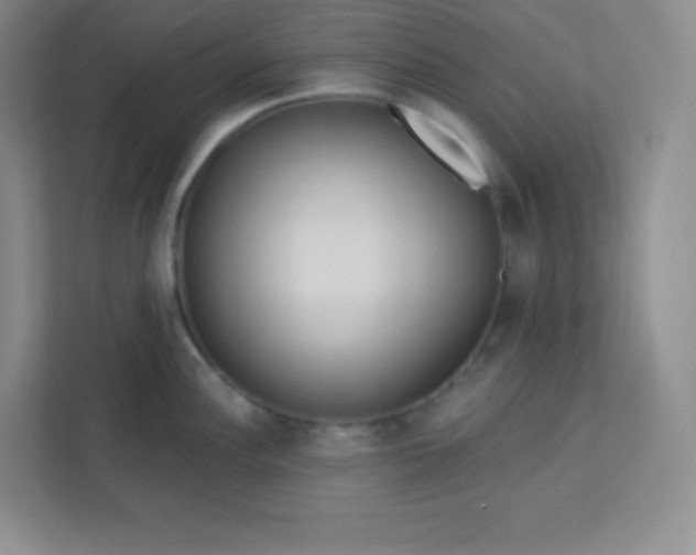 X0000113321148200909281202