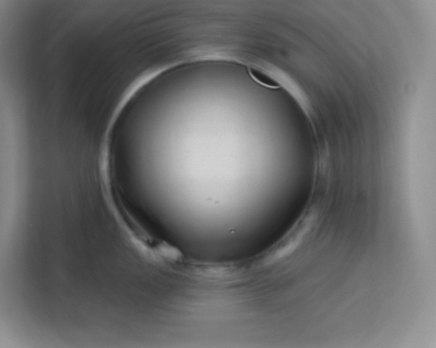 X0000113321149200909281202