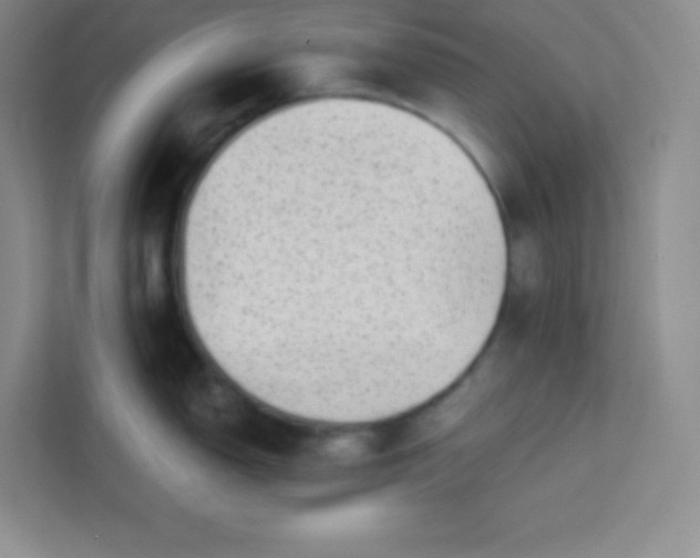 X0000113321150200909281202