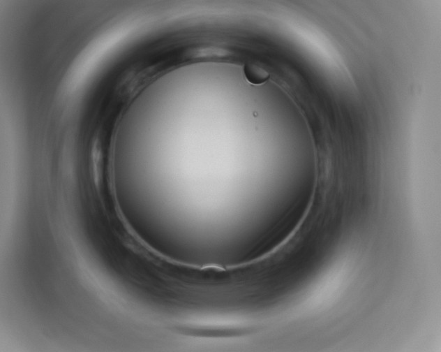 X0000113321151200909281202