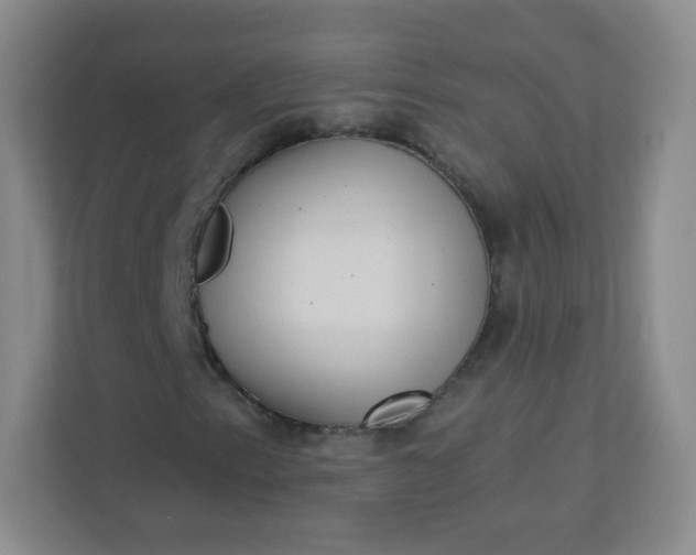 X0000113321153200909281201