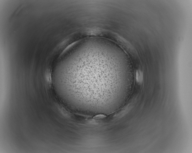 X0000113321155200909281201