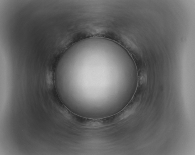 X0000113321156200909281201