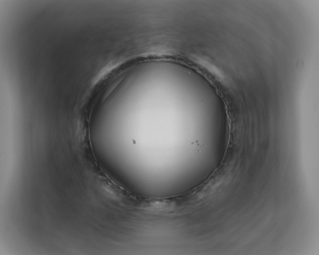 X0000113321160200909281201