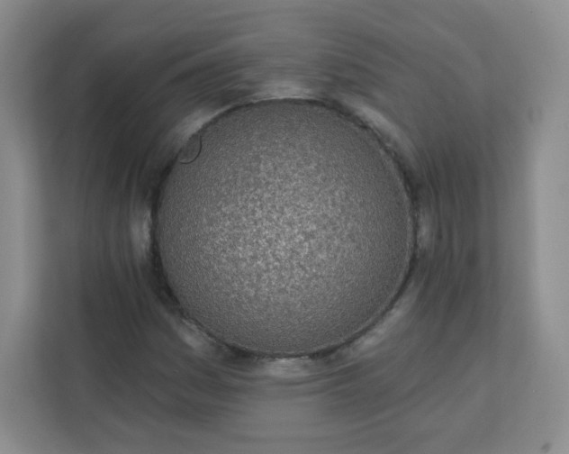 X0000113321161200909281201