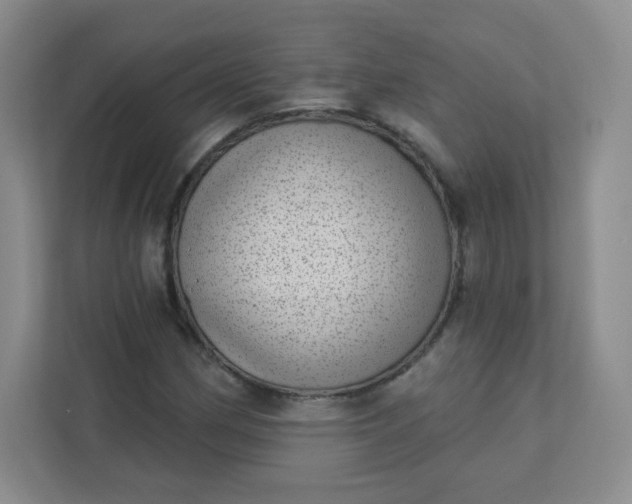 X0000113321162200909281201