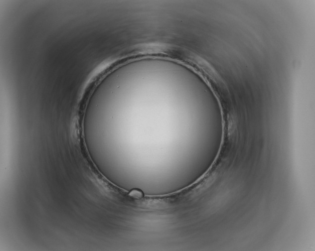 X0000113321164200909281201