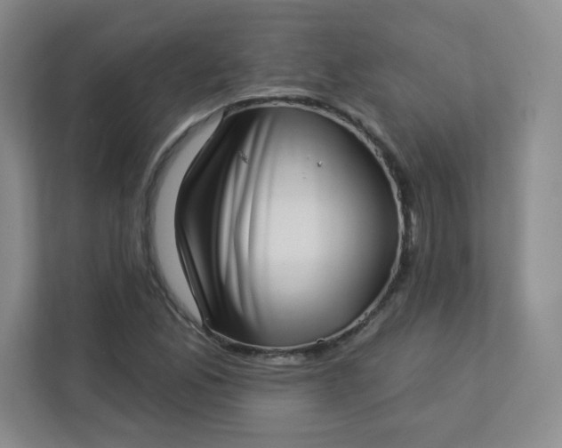 X0000113321165200909281201