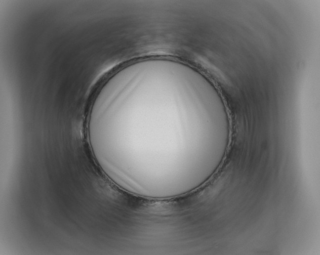 X0000113321166200909281201