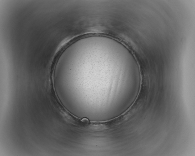 X0000113321168200909281201