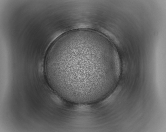 X0000113321170200909281201