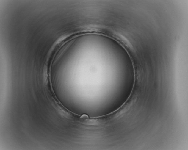 X0000113321172200909281201