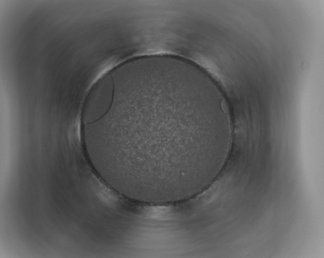 X0000113321173200909281201