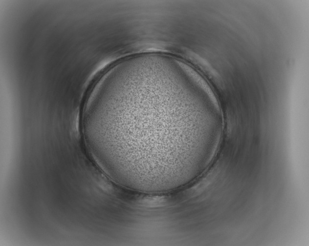 X0000113321174200909281201