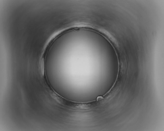 X0000113321175200909281201