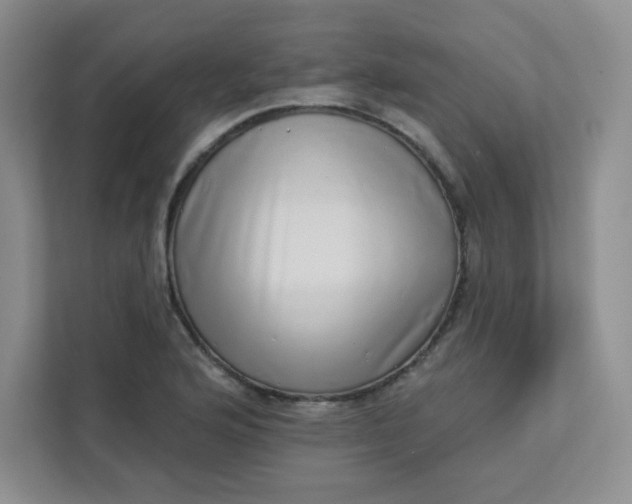 X0000113321176200909281201