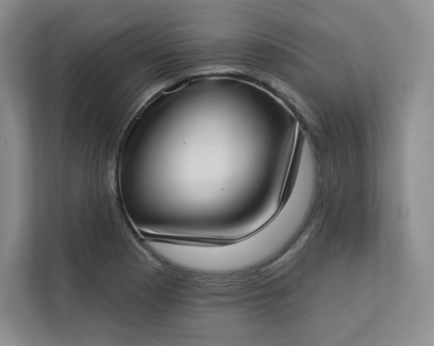 X0000113321177200909281201