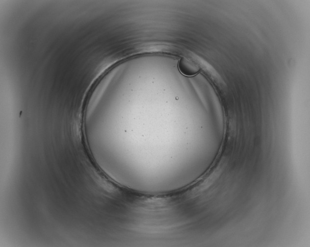 X0000113321178200909281201