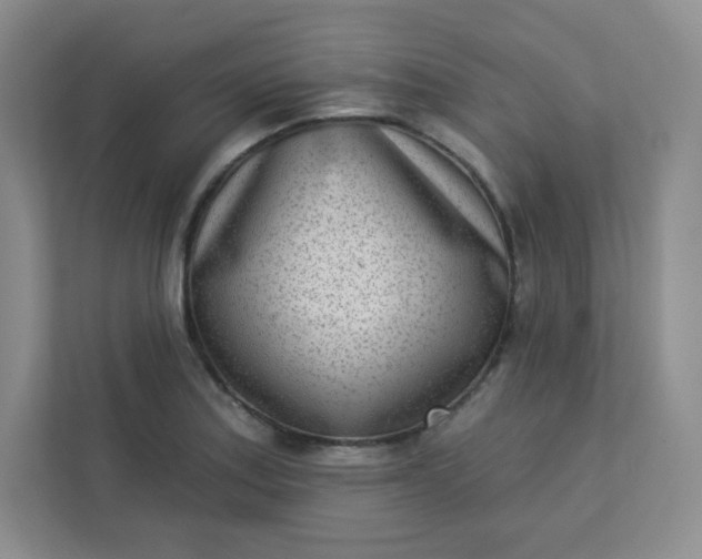 X0000113321179200909281201