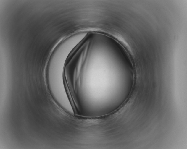 X0000113321181200909281201