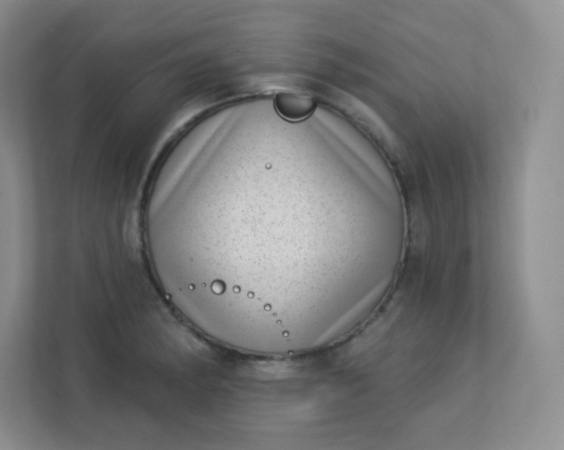 X0000113321182200909281201