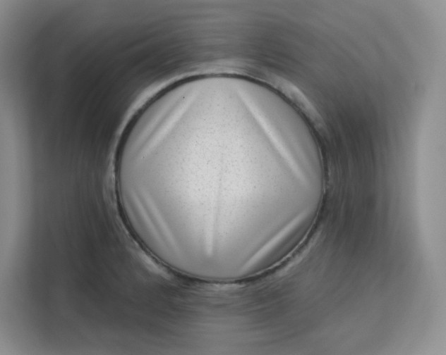 X0000113321184200909281201