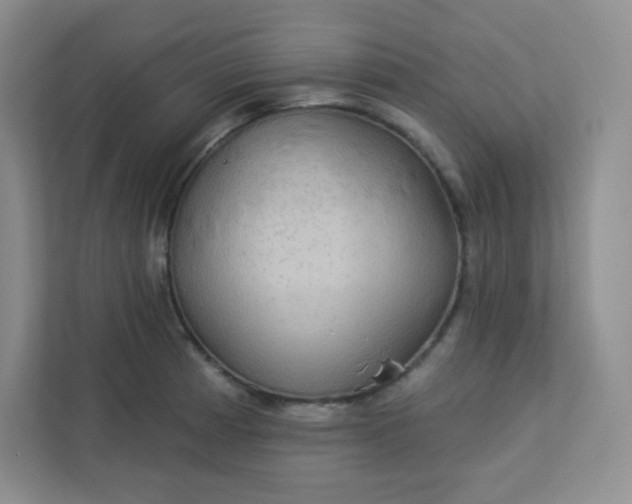 X0000113321185200909281201