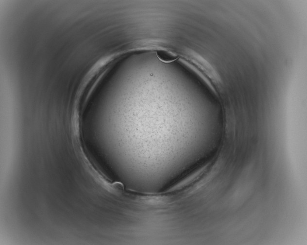 X0000113321188200909281201