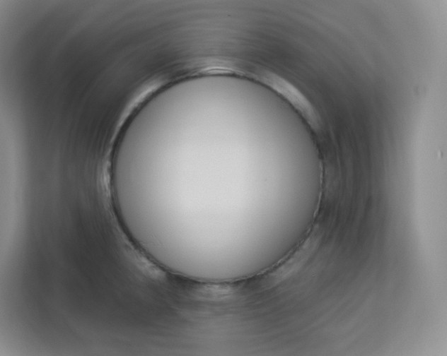 X0000113321190200909281201