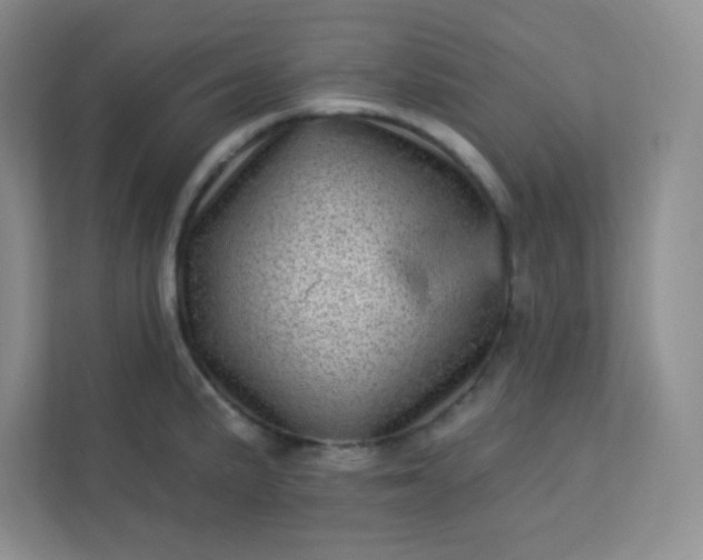 X0000113321191200909281201