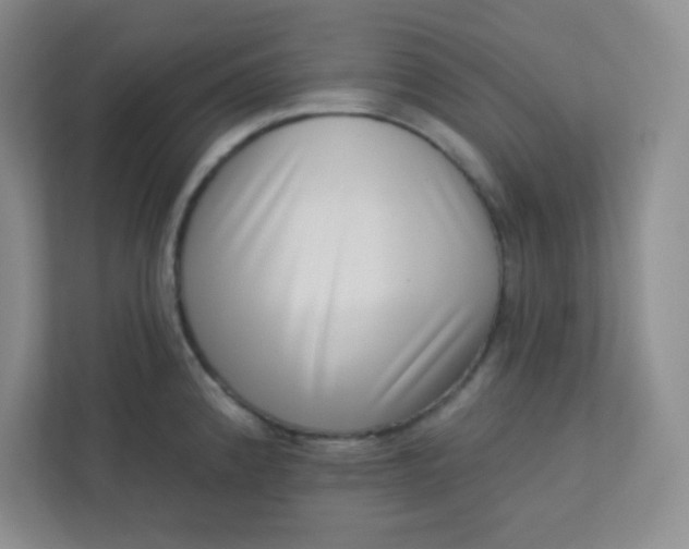 X0000113321192200909281201