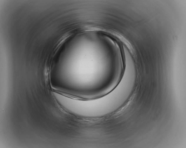 X0000113321193200909281201