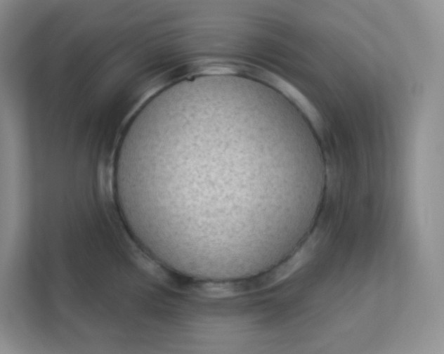 X0000113321194200909281201