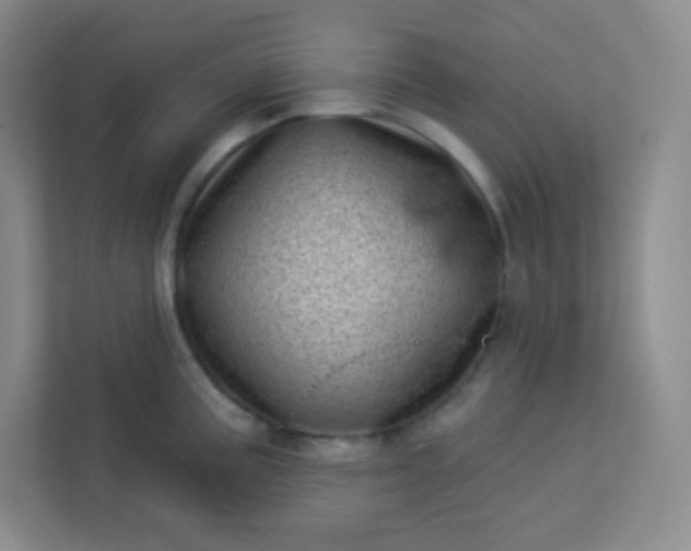 X0000113321195200909281201